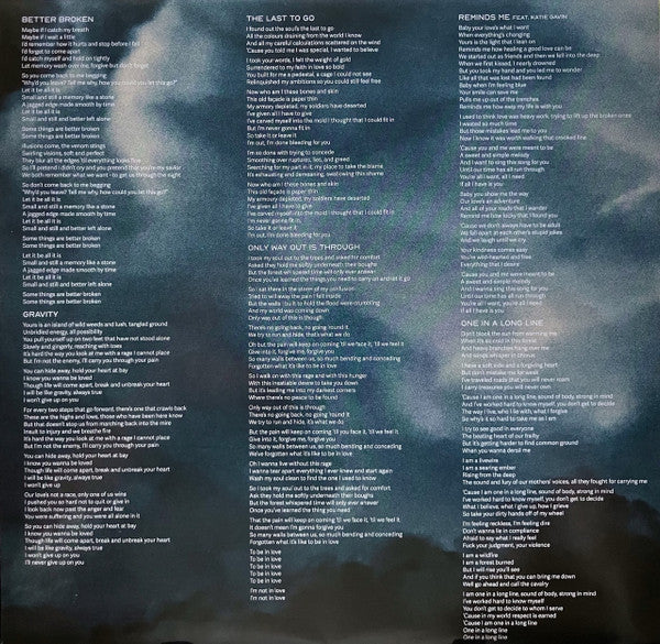 Sarah McLachlan : Better Broken (LP, Album)