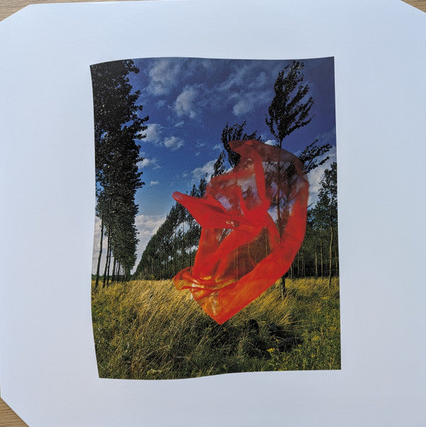 Pink Floyd : Wish You Were Here (LP, Ltd, RE, RM, Whi)