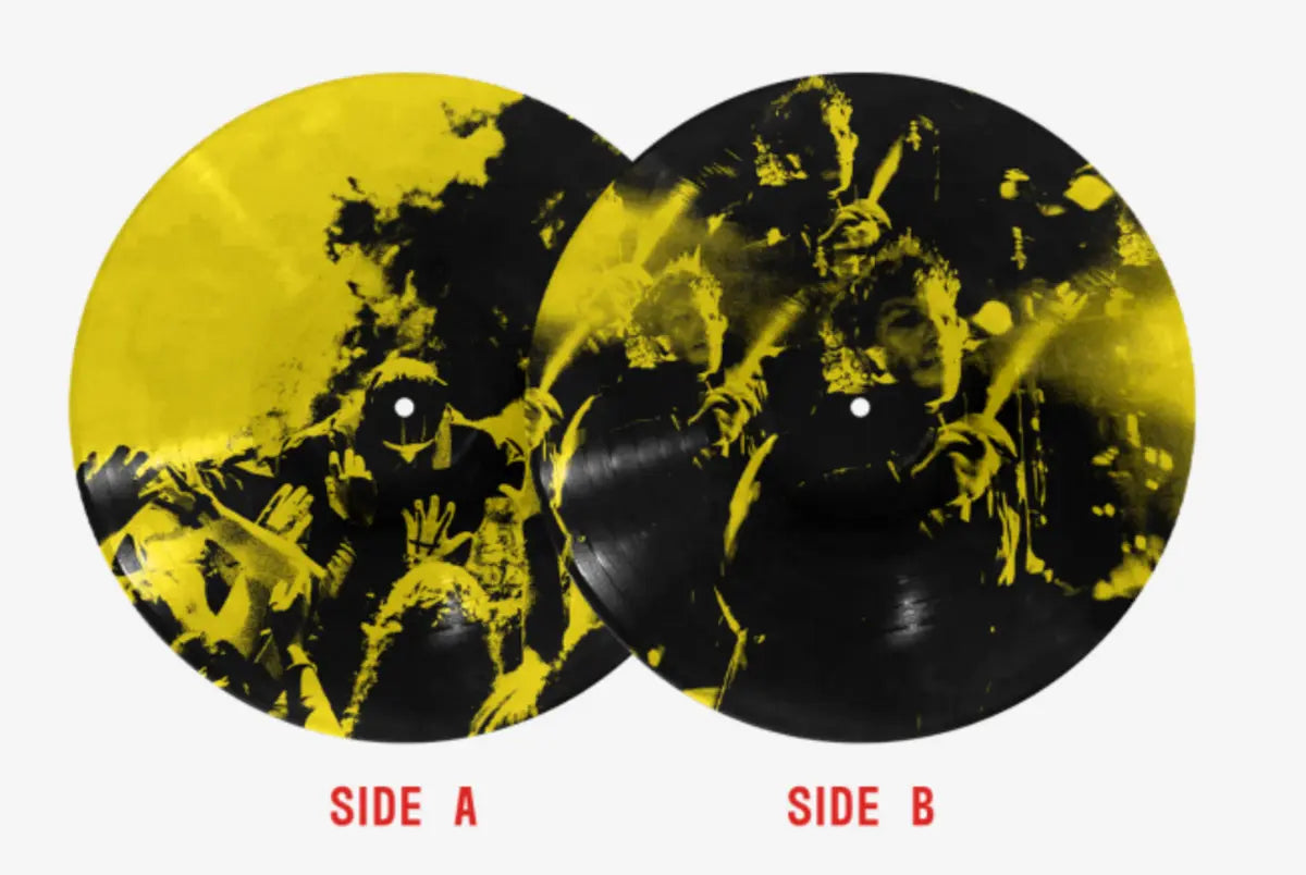 Twenty One Pilots - Breach "Exalt" Picture Disc Vinyl Record LP