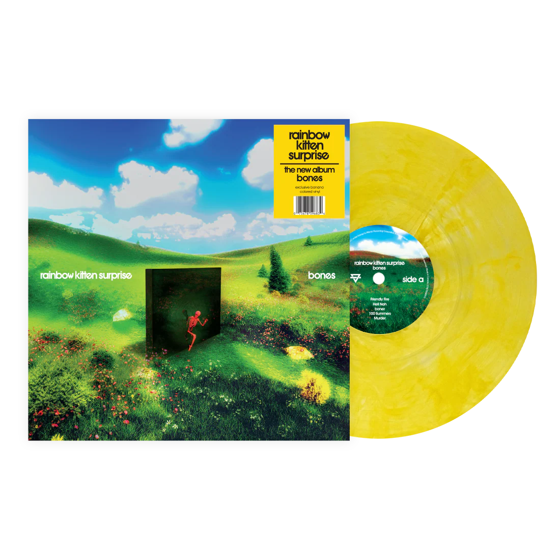 Rainbow Kitten Surprise - Bones Banana Yellow SIGNED Cover Vinyl Record LP