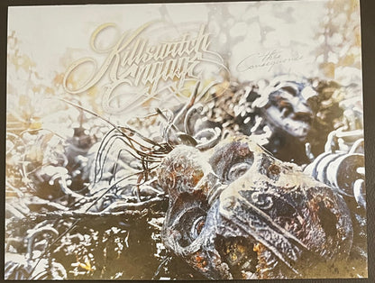 Killswitch Engage : This Consequence (LP, Album, Tan)