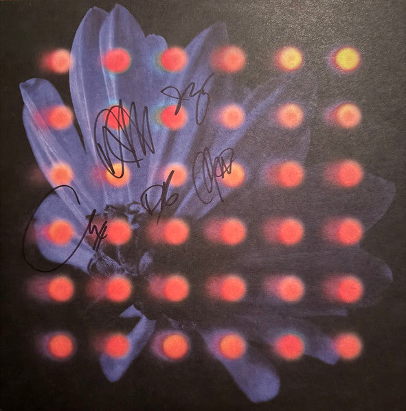 Anberlin : Nevertake  (LP, Album, Ltd, RP, Gre)