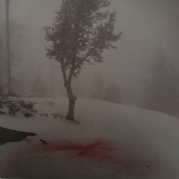 Wisp (5) : Pandora (LP, EP, Ltd, Num, RE, Whi)
