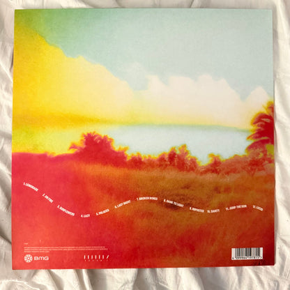 Louis Tomlinson : How Did I Get Here? (LP, Album, Cle)
