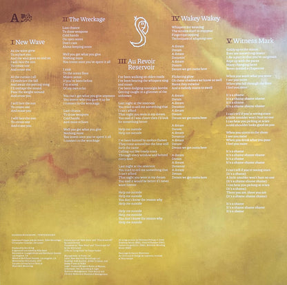Silversun Pickups : Tenterhooks (LP, Album, Gol)