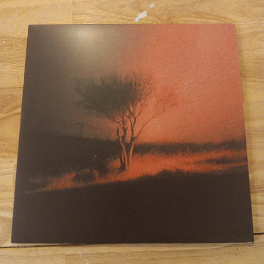 Joji : Piss In The Wind (LP, Album, Ltd, Red)