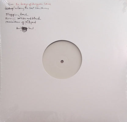 Paul McCartney : The Boys Of Dungeon Lane (LP, Album, W/Lbl)
