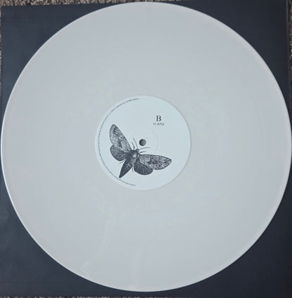AFI : Decemberunderground (2xLP, Album, Club, Ltd, Num, RE, Bon)