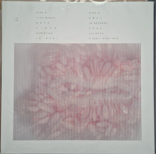 Look Outside Your Window : Look Outside Your Window (LP, Album, Ltd, Lea)