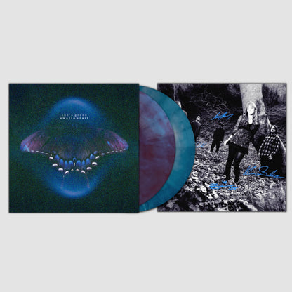 SIGNED she's green - Swallowtail / Chrysalis "Purple & Cyan Galaxy Glitter" Vinyl Record 2LP