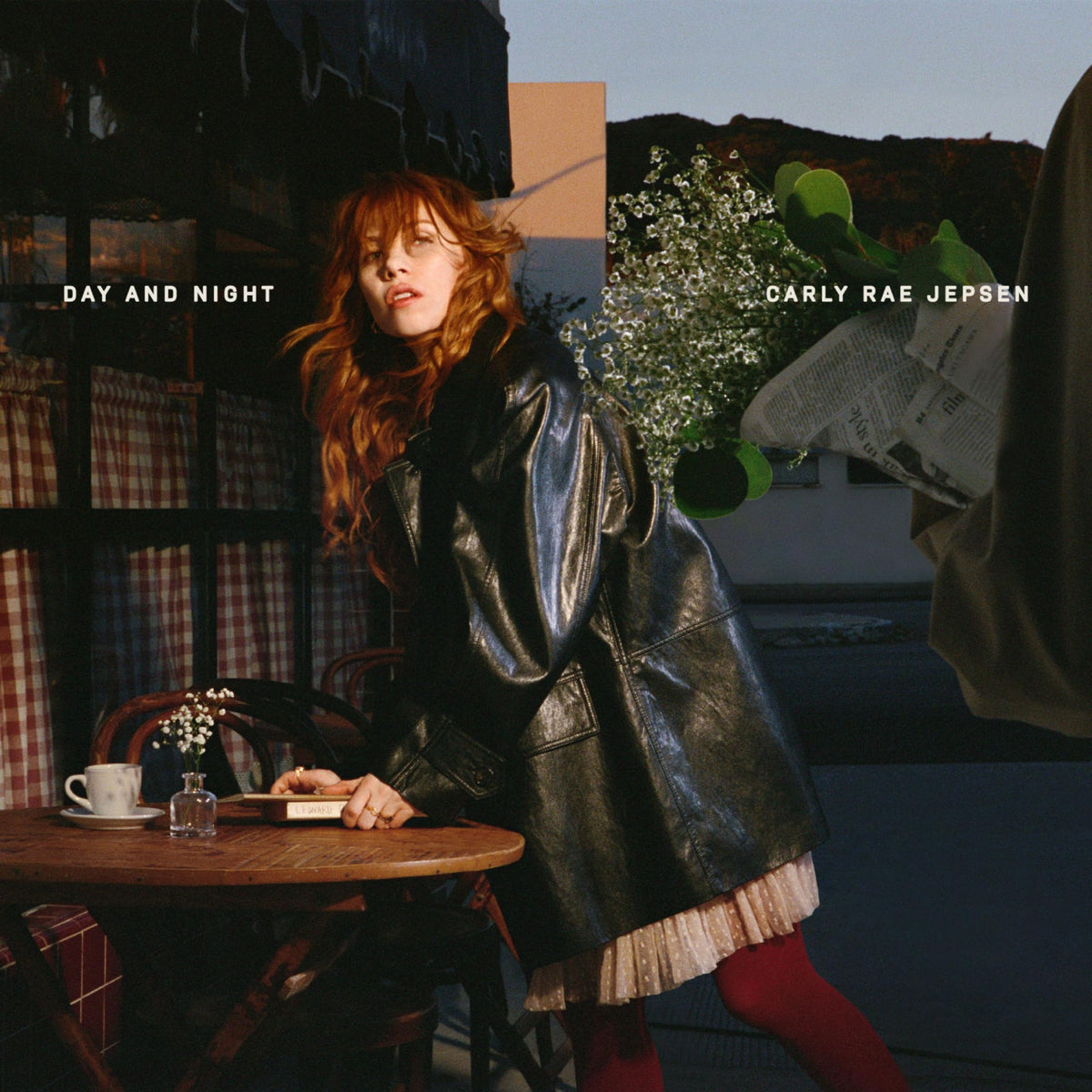 Day and Night[Apple Red 2 LP]