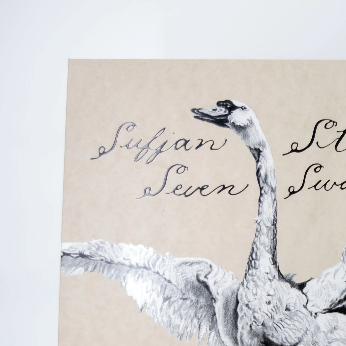 Sufjan Stevens - Seven Swans Zoetrope Picture Disc Vinyl Record LP