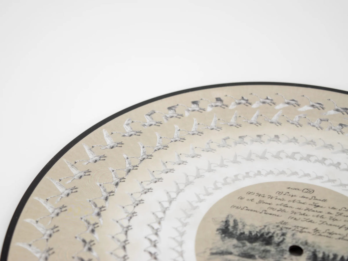 Sufjan Stevens - Seven Swans Zoetrope Picture Disc Vinyl Record LP