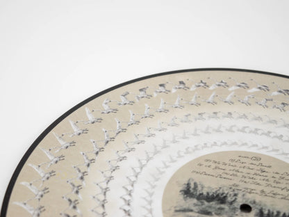 Sufjan Stevens - Seven Swans Zoetrope Picture Disc Vinyl Record LP