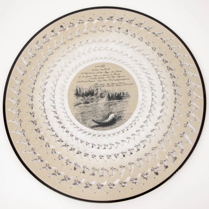 Sufjan Stevens - Seven Swans Zoetrope Picture Disc Vinyl Record LP