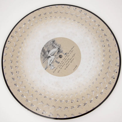 Sufjan Stevens - Seven Swans Zoetrope Picture Disc Vinyl Record LP
