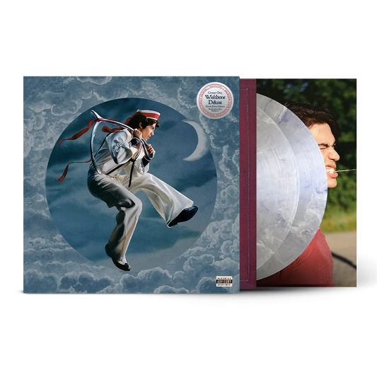 Conan Gray - Wishbone Deluxe Moths Silver Edition Vinyl Record 2LP