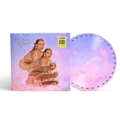 SAILORR - From Florida’s Finest Delu/xxx Zoetrope Picture Disc Vinyl Record LP