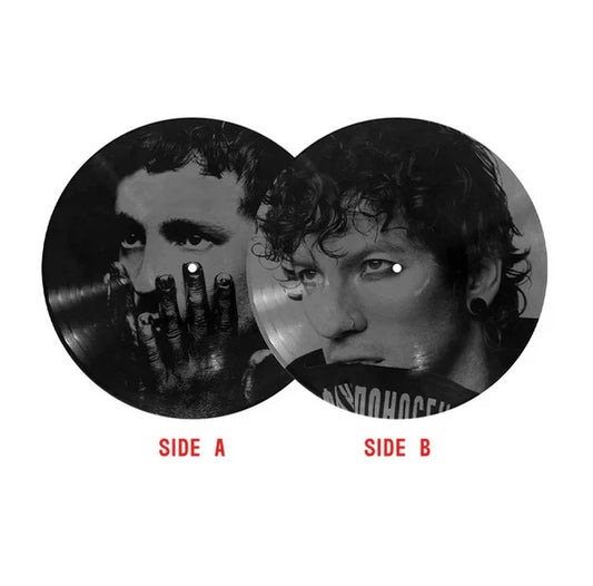 Twenty One Pilots - Breach Rawfear Picture Disc Vinyl Record LP