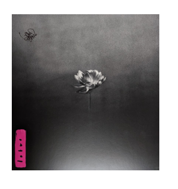 SIGNED Little Simz - Lotus Pink Translucent w/ White & Black Splatter Vinyl Record 2LP