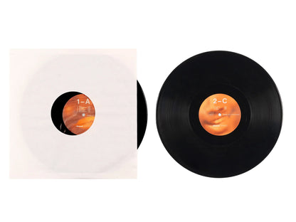 Frank Ocean - Channel Orange Vinyl Record 2LP