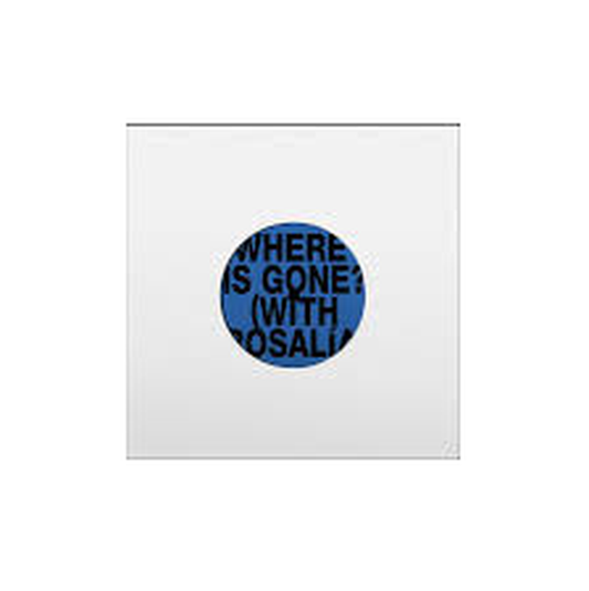 Fontaines D.C. With Rosalía  - Where Is Gone? 7" Vinyl Record
