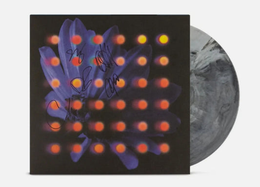 SIGNED Anberlin - Nevertake Grey Marble Vinyl Record LP
