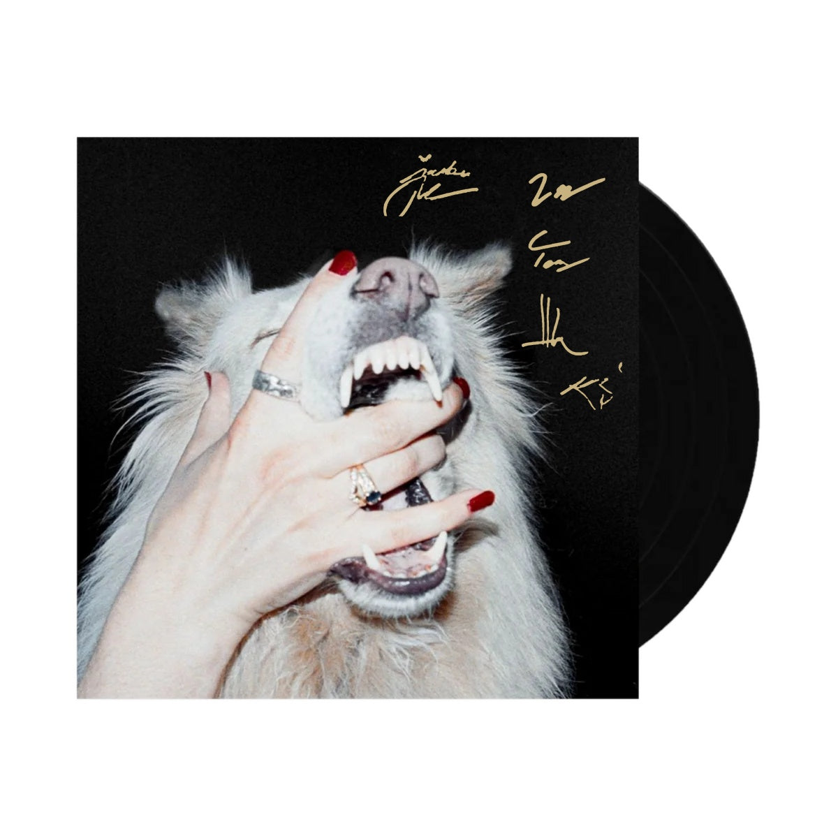 SIGNED Porch Light - Hush Vinyl Record LP