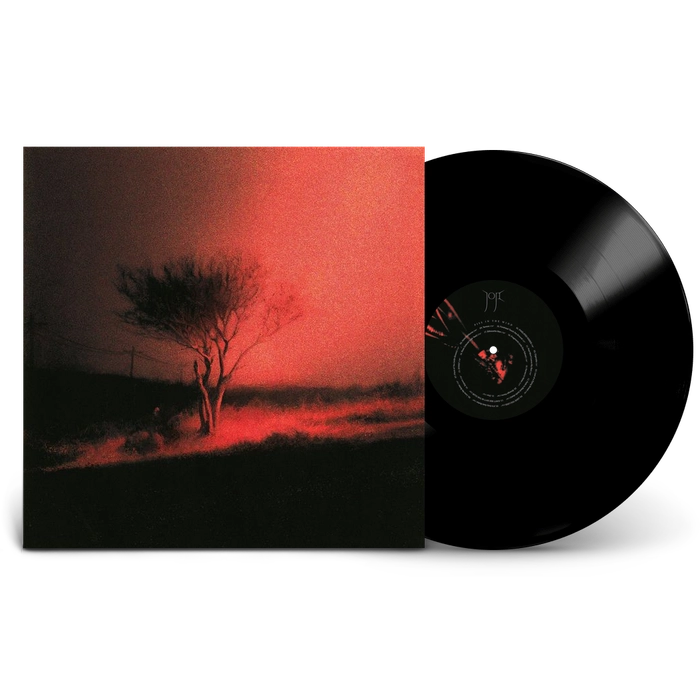 SIGNED Joji - Piss In The Wind Vinyl Record LP