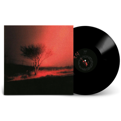 SIGNED Joji - Piss In The Wind Vinyl Record LP