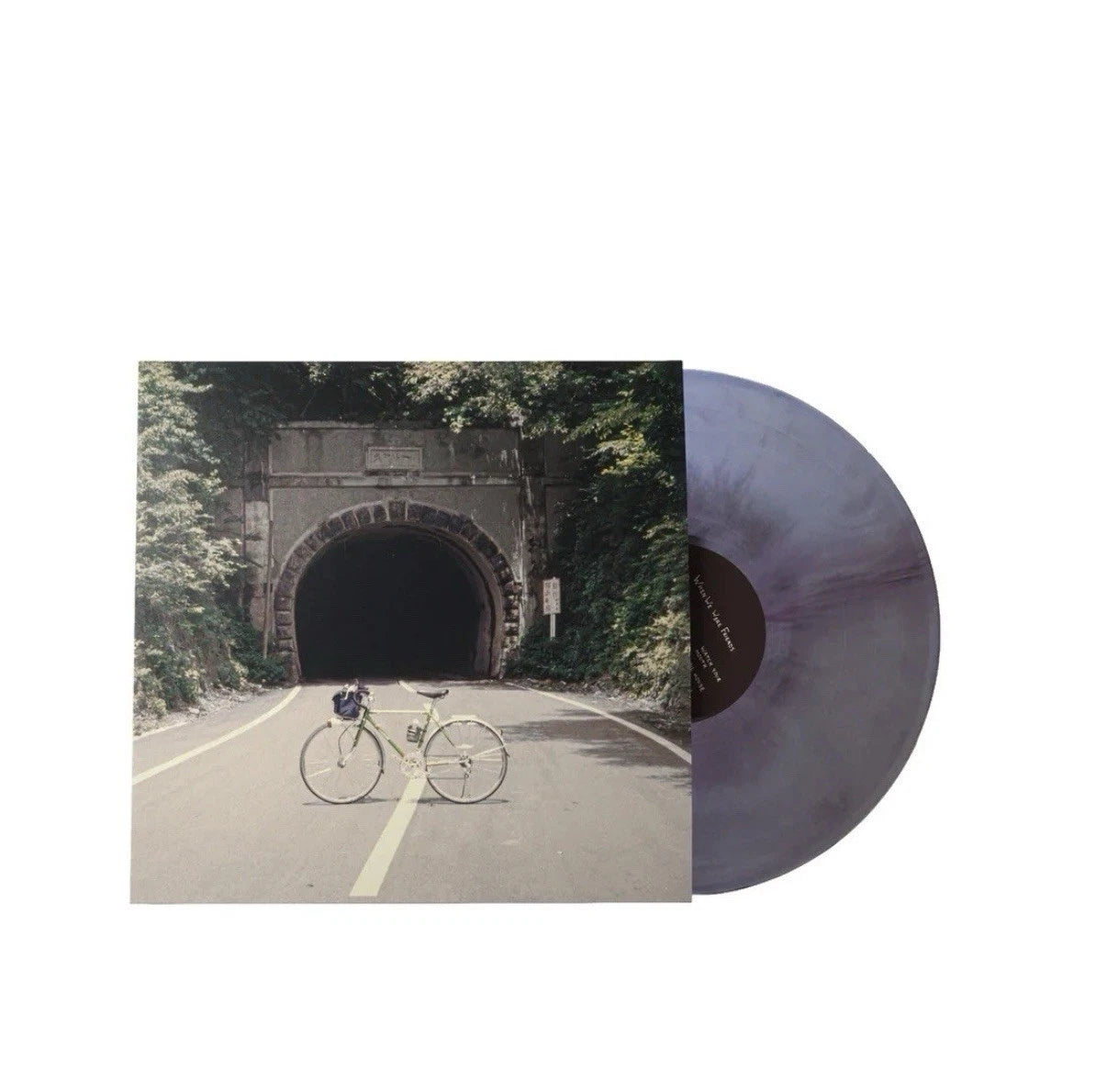 The Backseat Lovers - When We Were Friends Galaxy Vinyl Record LP