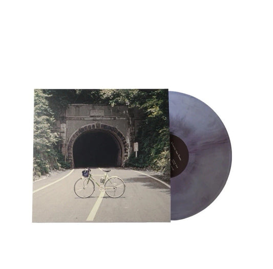 The Backseat Lovers - When We Were Friends Galaxy Vinyl Record LP
