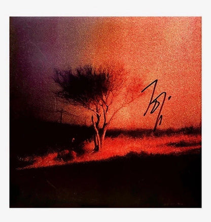 SIGNED Joji - Piss In The Wind Vinyl Record LP