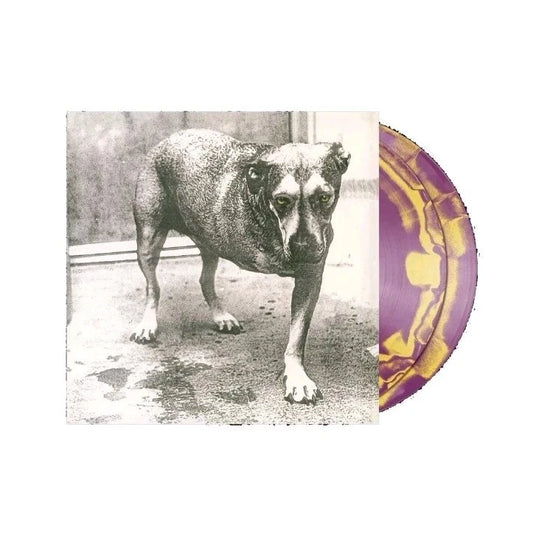 Alice In Chains - Alice In Chains Purple & Yellow Swirl Vinyl Record 2LP