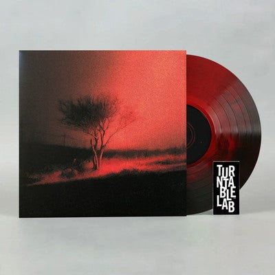 Joji - Piss In The Wind Lava Flow Vinyl Record Vinyl Record LP