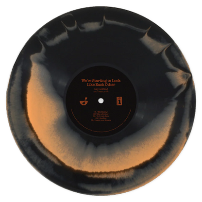 hey, nothing - We're Starting To Look Like Each Other black & orange vinyl record lp